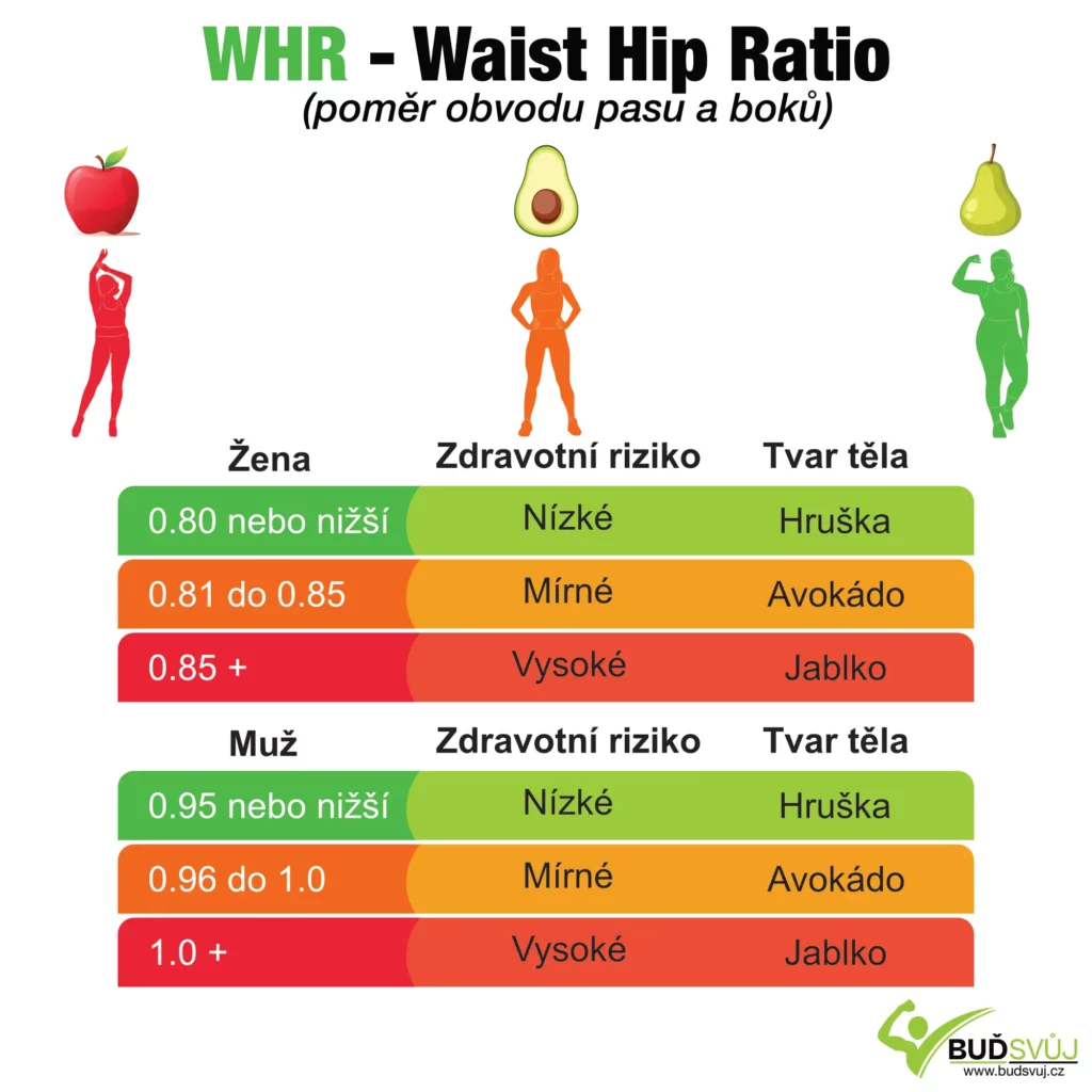 WHR waist hip ratio